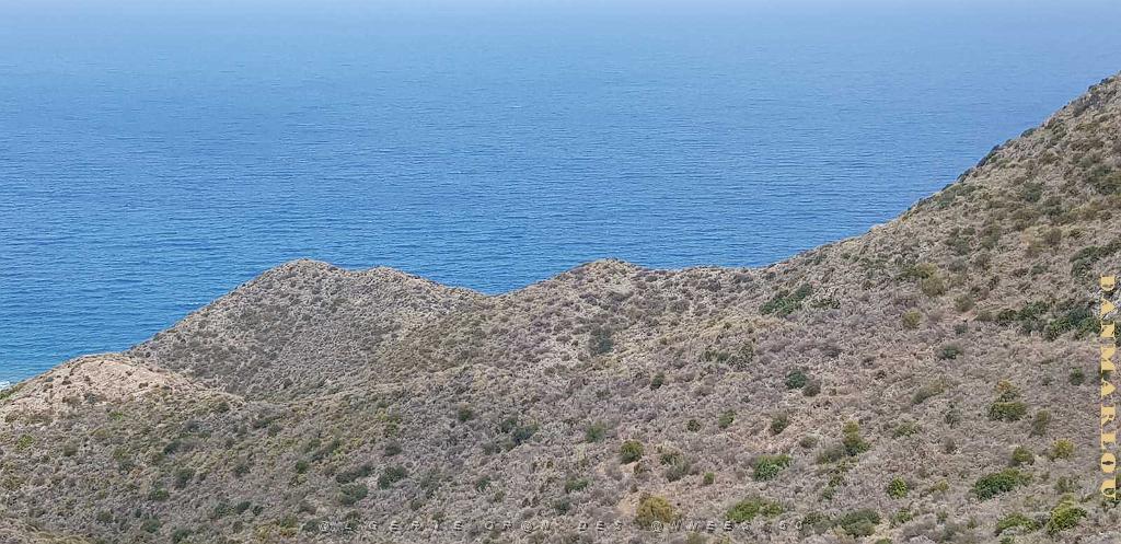 HOMMAGE A N.D. DE SANTA CRUZ A DALIAS DU 7 AU 10 JUIN 2019 (623) ESCAPADE A CARBONERA ET MOJACA .jpg